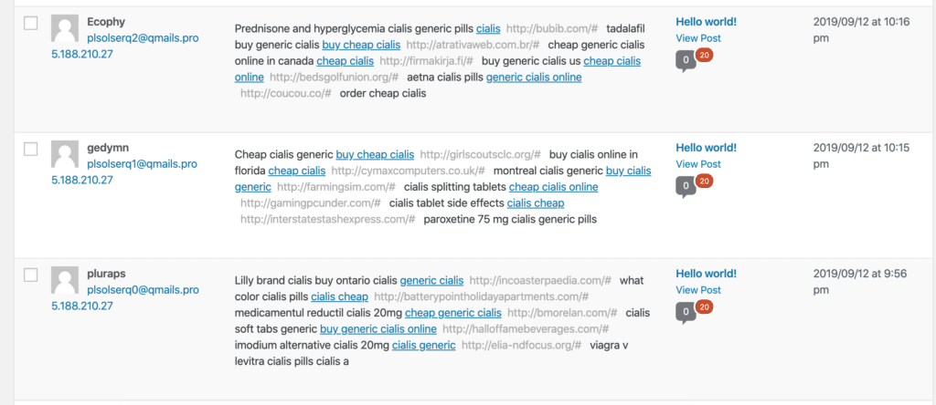 Comment Spam Examples